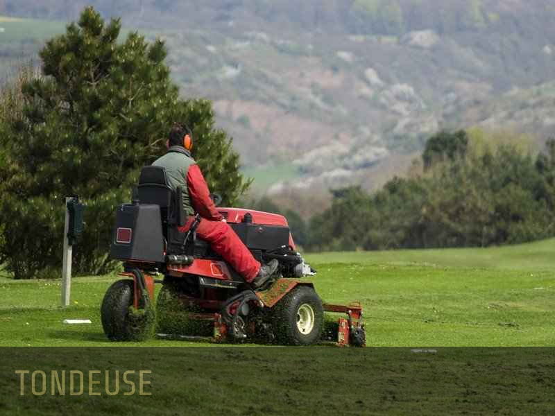 Achat d'une tondeuse